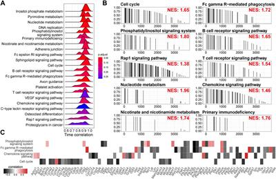 Unbiased comparison and modularization identify time-related transcriptomic reprogramming in exercised rat cartilage: Integrated data mining and experimental validation